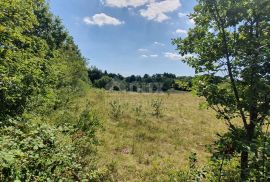 ISTRA, ŠUMBER - Zemljište na rubu građevinskog područja, Sveta Nedelja, Land