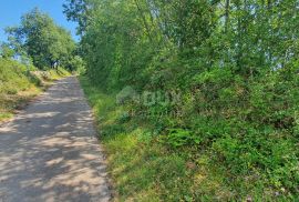 ISTRA, ŠUMBER - Zemljište na rubu građevinskog područja, Sveta Nedelja, Tierra