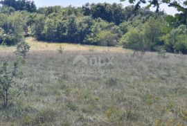 ISTRA, ŠUMBER - Zemljište na rubu građevinskog područja, Sveta Nedelja, Land