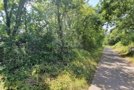 ISTRA, ŠUMBER - Zemljište na rubu građevinskog područja, Sveta Nedelja, Land