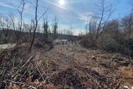 ISTRA, PAZIN - Građevinska parcela na kraju mirnog naselja, Pazin, Terreno