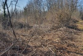 ISTRA, PAZIN - Građevinska parcela na kraju mirnog naselja, Pazin, Terreno