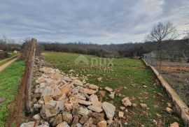 ISTRA, VIŠNJAN - Zemljište, zadnje u građevinskom području mirnog naselja, Višnjan, Земля