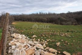 ISTRA, VIŠNJAN - Zemljište, zadnje u građevinskom području mirnog naselja, Višnjan, Terra