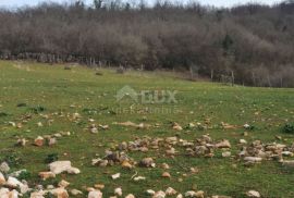 ISTRA, VIŠNJAN - Zemljište, zadnje u građevinskom području mirnog naselja, Višnjan, Terreno