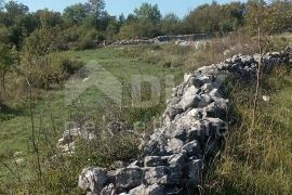 ISTRA, KANFANAR - Građevinsko zemljište turističke namjene, Kanfanar, Arazi