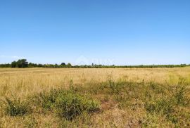 Istra, Loborika, poljoprivredno zemljište 900m2, Ližnjan, Arazi