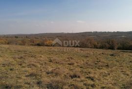 ISTRA, VIŠNJAN - Poljoprivredno zemljište, šuma, Višnjan, Land