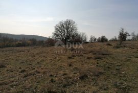 ISTRA, VIŠNJAN - Poljoprivredno zemljište, šuma, Višnjan, Terrain