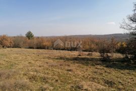 ISTRA, VIŠNJAN - Poljoprivredno zemljište, šuma, Višnjan, Land