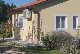 ISTRA, ŽMINJ - Imanje sa 3 samostojeće kuće, Žminj, House