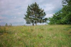 ISTRA, HUM - imanje sa 8,4 ha zemljišta, Buzet, Kuća