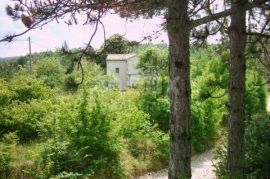 ISTRA, HUM - imanje sa 8,4 ha zemljišta, Buzet, Haus