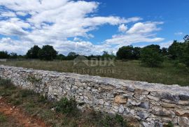 ISTRA, SVETVINČENAT - Poljoprivredno zemljište 8875 m2, Svetvinčenat, Terreno