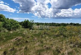 ISTRA, SVETVINČENAT - Poljoprivredno zemljište 8875 m2, Svetvinčenat, Zemljište