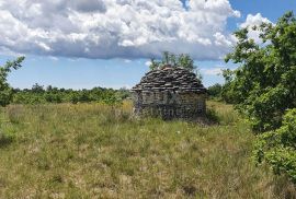 ISTRA, SVETVINČENAT - Poljoprivredno zemljište 8875 m2, Svetvinčenat, Земля