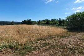 ISTRA, PIĆAN - Poljoprivredno zemljište, plodnog tla, Pićan, Terrain