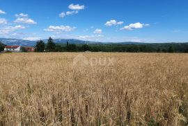 ISTRA, PIĆAN - Poljoprivredno zemljište, plodnog tla, Pićan, Arazi