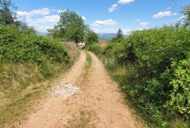 ISTRA, PIĆAN - Poljoprivredno zemljište, plodnog tla, Pićan, Land