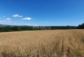 ISTRA, PIĆAN - Poljoprivredno zemljište, plodnog tla, Pićan, Land