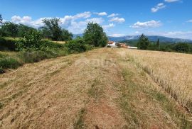 ISTRA, PIĆAN - Poljoprivredno zemljište, plodnog tla, Pićan, Terrain