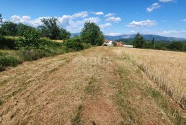 ISTRA, PIĆAN - Poljoprivredno zemljište, plodnog tla, Pićan, Zemljište