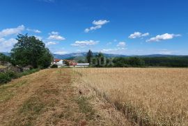 ISTRA, PIĆAN - Poljoprivredno zemljište, plodnog tla, Pićan, Terreno