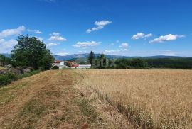 ISTRA, PIĆAN - Poljoprivredno zemljište, plodnog tla, Pićan, Land