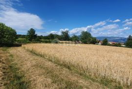 ISTRA, PIĆAN - Poljoprivredno zemljište, plodnog tla, Pićan, Land