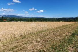 ISTRA, PIĆAN - Poljoprivredno zemljište, plodnog tla, Pićan, Land
