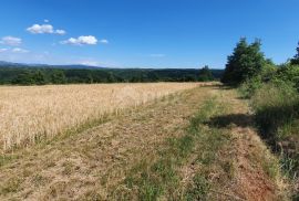 ISTRA, PIĆAN - Poljoprivredno zemljište, plodnog tla, Pićan, Terra