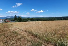 ISTRA, PIĆAN - Poljoprivredno zemljište, plodnog tla, Pićan, Zemljište