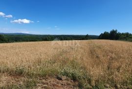 ISTRA, PIĆAN - Poljoprivredno zemljište, plodnog tla, Pićan, Arazi