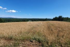 ISTRA, PIĆAN - Poljoprivredno zemljište, plodnog tla, Pićan, Земля