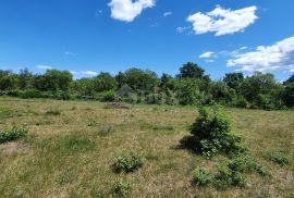 ISTRA, SVETVINČENAT - Zemljište sa započetom gradnjom gospodarskog i stambenog objekta, Svetvinčenat, Land