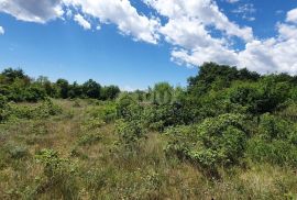 ISTRA, SVETVINČENAT - Zemljište sa započetom gradnjom gospodarskog i stambenog objekta, Svetvinčenat, Terrain