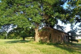 ISTRA, ŽMINJ - Građevinsko zemljište sa kamenom kućicom, Žminj, Terreno