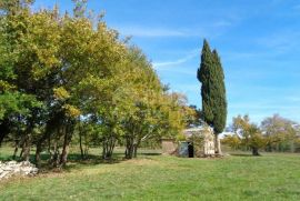 ISTRA, ŽMINJ - Građevinsko zemljište sa kamenom kućicom, Žminj, Terrain