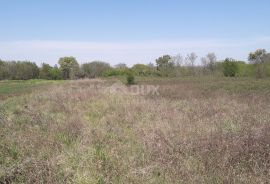 ISTRA, ŠTINJAN - Građevinsko zemljište 1.200 m od mora, Pula, Terrain