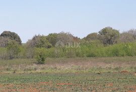 ISTRA, ŠTINJAN - Građevinsko zemljište 1.200 m od mora, Pula, Terreno