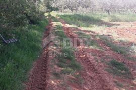 ISTRA, ŠTINJAN - Građevinsko zemljište 1.200 m od mora, Pula, Terra