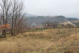 ISTRA, BUZET - Građevinsko zemljište 1436 m2 s panoramskim pogledom, Buzet, Zemljište