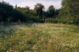 ŠKRLJEVO - građevinsko zemljište 2910m², prodaja, Bakar, Arazi