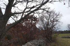 Poljoprivredno zemljište, Filipana, Istra, Marčana, Tierra