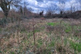 ISTRA, TINJAN - Građevinsko zemljište mješovite namjene, Tinjan, Terreno