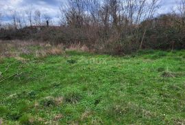 ISTRA, TINJAN - Građevinsko zemljište mješovite namjene, Tinjan, Terra