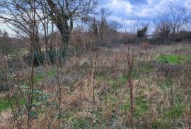 ISTRA, TINJAN - Građevinsko zemljište mješovite namjene, Tinjan, Land