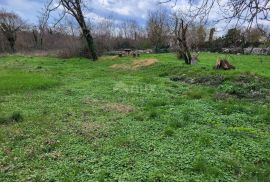 ISTRA, TINJAN - Građevinsko zemljište mješovite namjene, Tinjan, Arazi