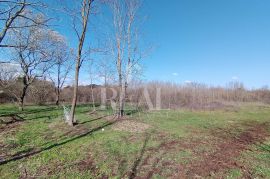 Manjadvorci dvije građevinske parcele 1940m2 !, Barban, Terreno