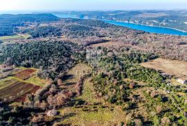 Kuća u oazi mira i prirode nedaleko od Rovinja, Rovinj, Kuća